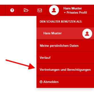 Vertretungen und Berechtigungen